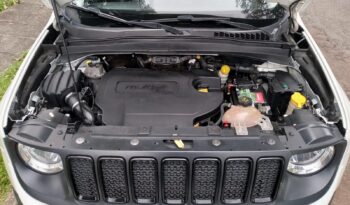 JEEP/ RENEGADE THAWK full